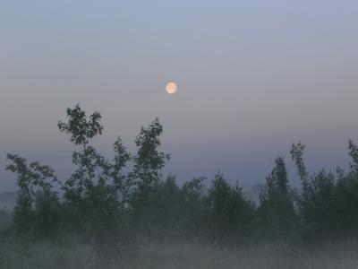 Прикрепленное изображение: P5260726.JPG